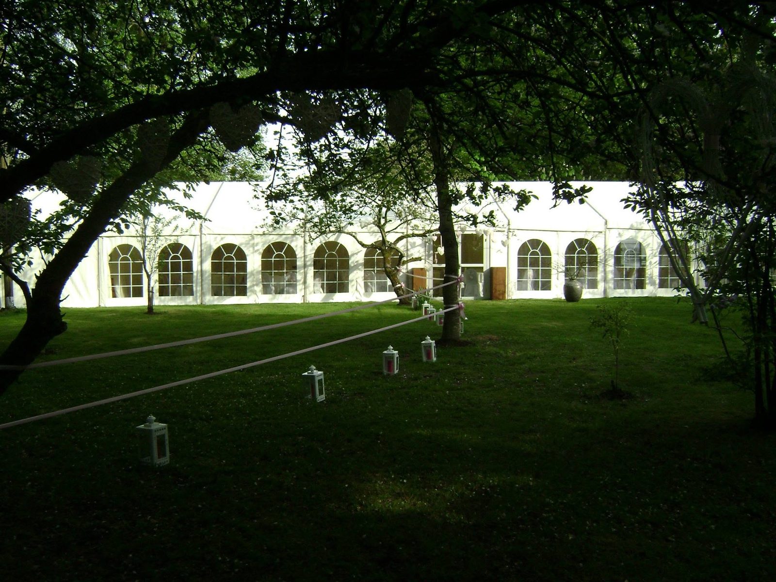 DTL marquee glowing at dusk beneath garden trees, with lanterns lining the lawn
